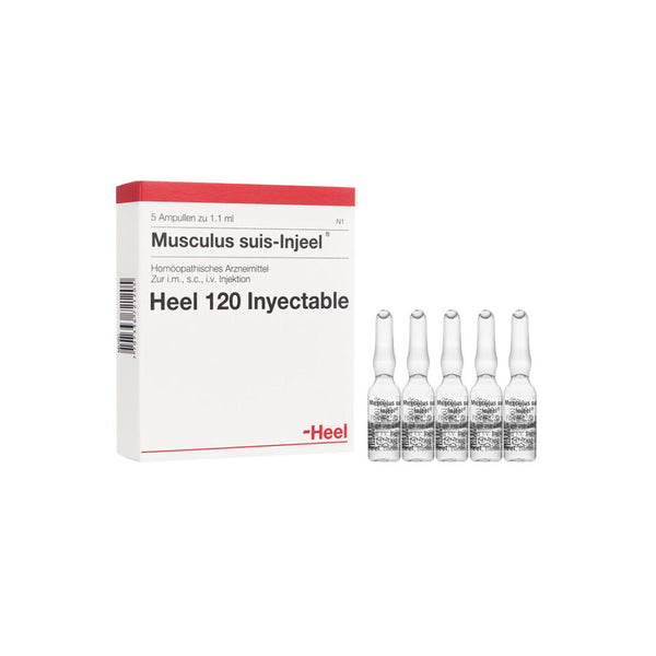 MUSCULUS SUIS INJEEL CAJA 5 Ampolla
