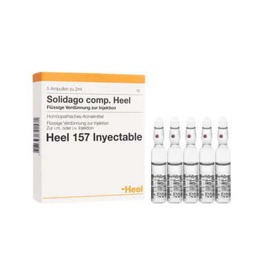 SOLIDAGO COMPOSITUM CAJA 5 Ampolla  HEEL